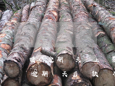 捷信逾期兩天會上報影響征信嗎？非故意逾期兩天后還款會有何影響？